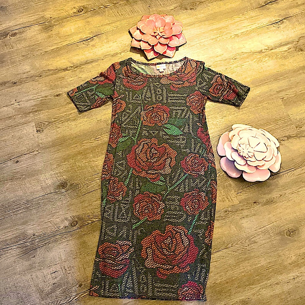 Lularoe Julia Dress NWT XS (no tag)
